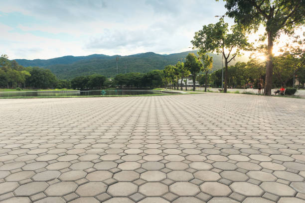 Best Interlocking Driveway Pavers  in Mked Tree, AR