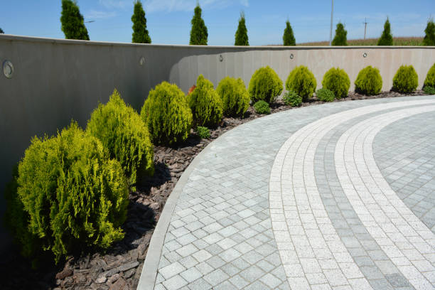 Best Concrete Paver Driveway  in Mked Tree, AR