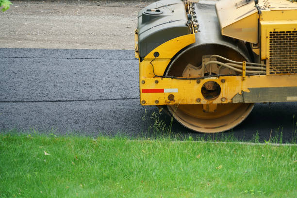 Best Local Driveway Pavers  in Mked Tree, AR